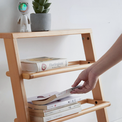 Burrier Shoe Rack