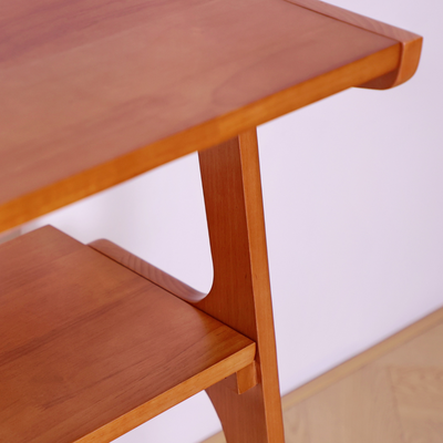 Fadzai Solid Wood Side Table