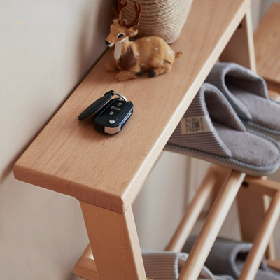 Burrier Shoe Rack