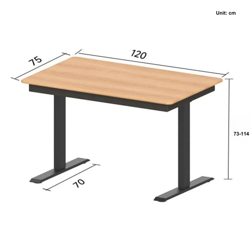 Olivia Adjustable Standing Desk