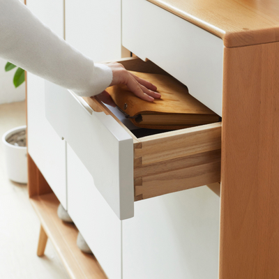 Leni Shoe Storage Cabinet