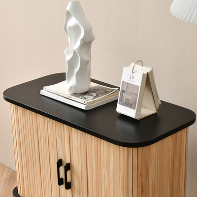 Dolton 2 Door Wood Cabinet