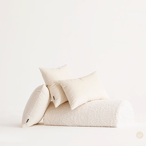 Gerta Velvet Throw Pillow Cover & Insert